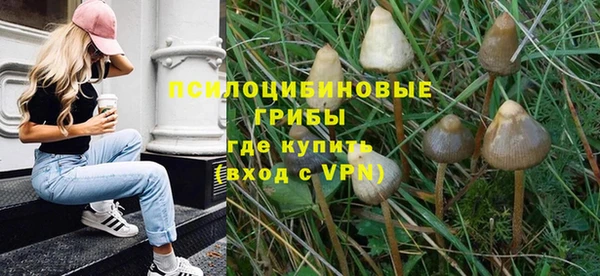 прущая мука Армянск