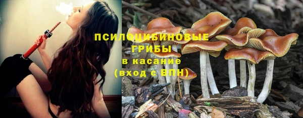 соль ск Аркадак